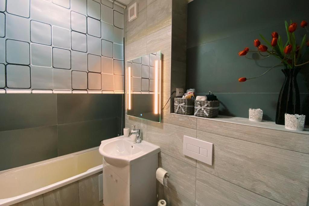 시기쇼아라 Apartament Smiley 아파트 외부 사진